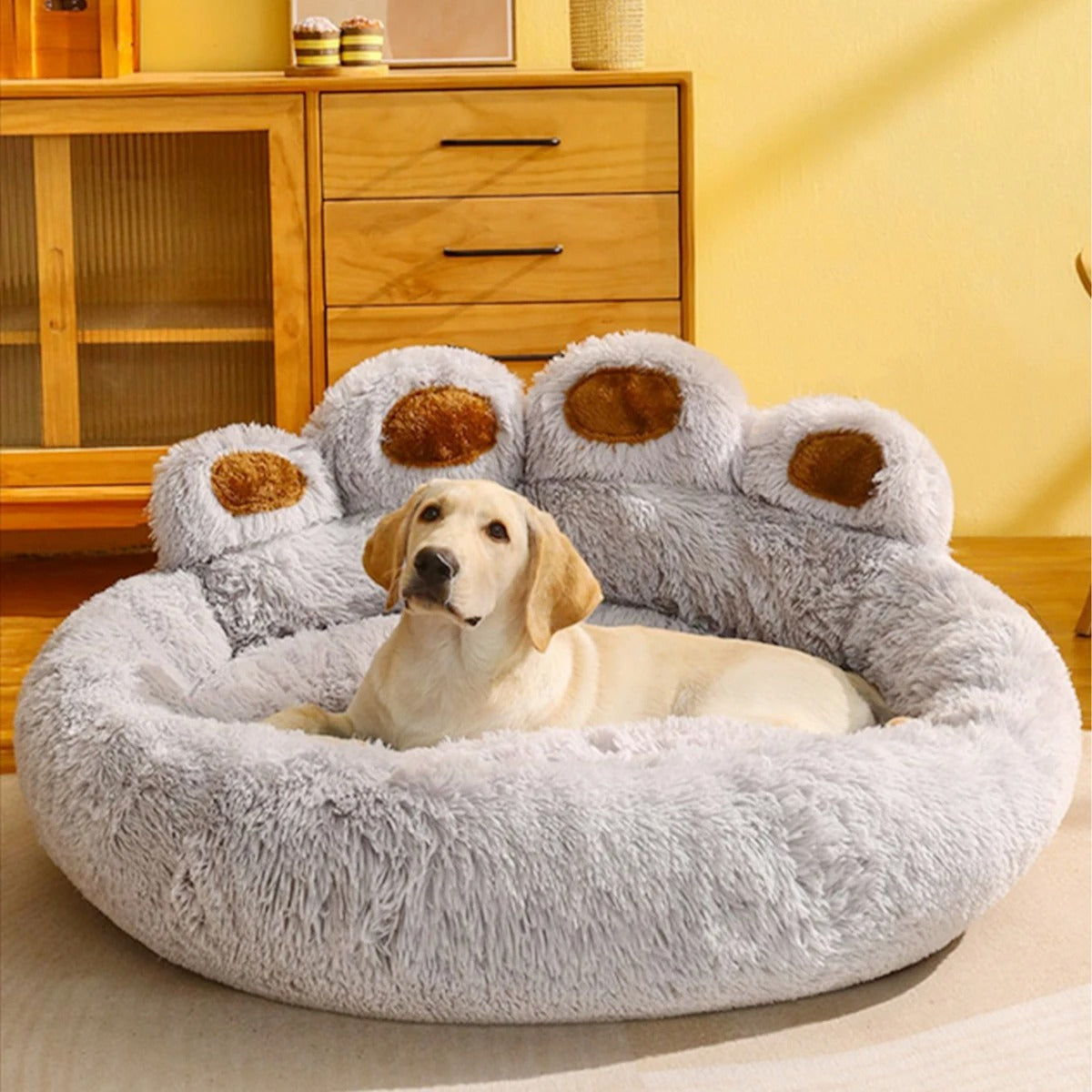 labrador couché dans panier pour chien gris près de meuble