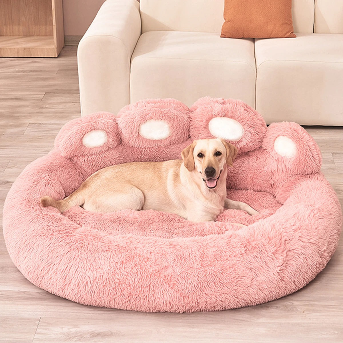 labrador couché dans panier pour chien rose près de canapé