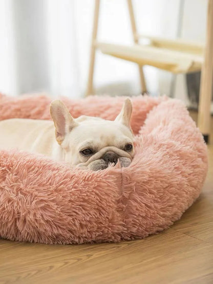 bouledogue francais couche dans Panier pour chien rose sur bois