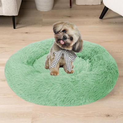 yorkie assis sur panier pour chien vert