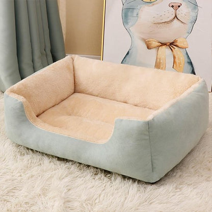 Panier pour chien sur moquette blanche