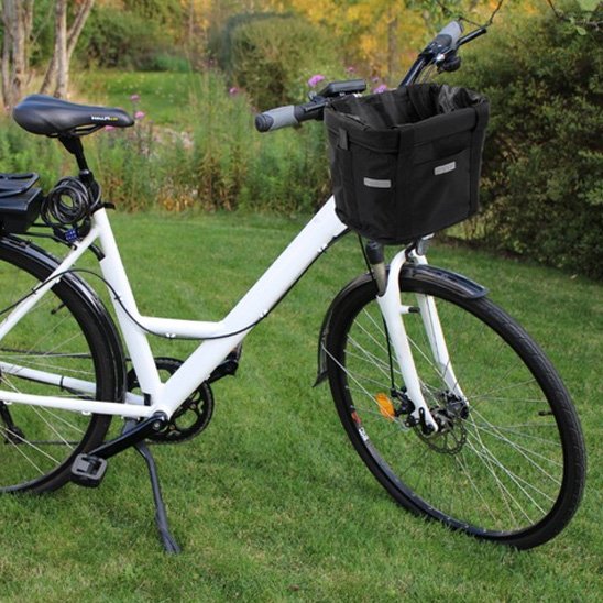 Panier velo chien monte sur vélo