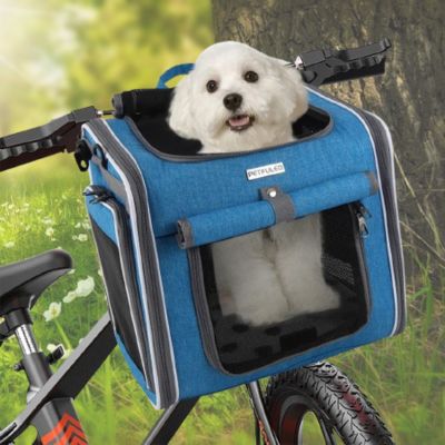 chien-blanc-dans-panier-bleu-sur-fond-de-foret