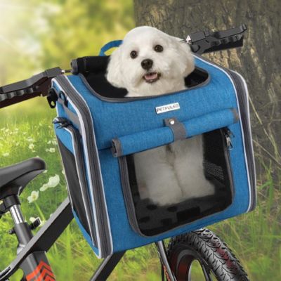 chiot blanc dans panier velo pour chien  variante bleue