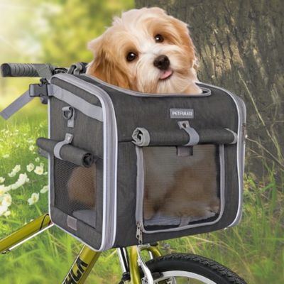 lhasa apso dans panier velo pour chien  variante grise sur velo