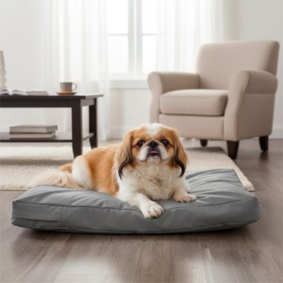 pekinois couche sur Coussin pour Chien 