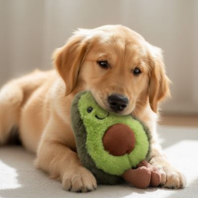 chiot golden retriver joue avec Peluche Chien sur moquette