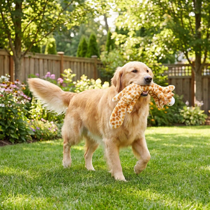 Peluche indestructible pour chien | Zoomania