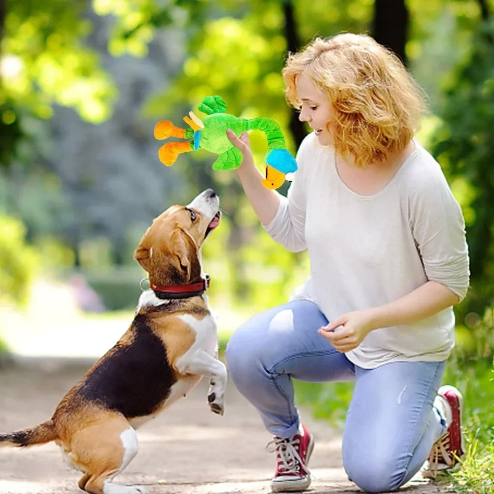 Peluche pour chien | Popoulet