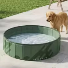 PISCINE A CHIEN | FisherDog