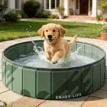 PISCINE A CHIEN | FisherDog
