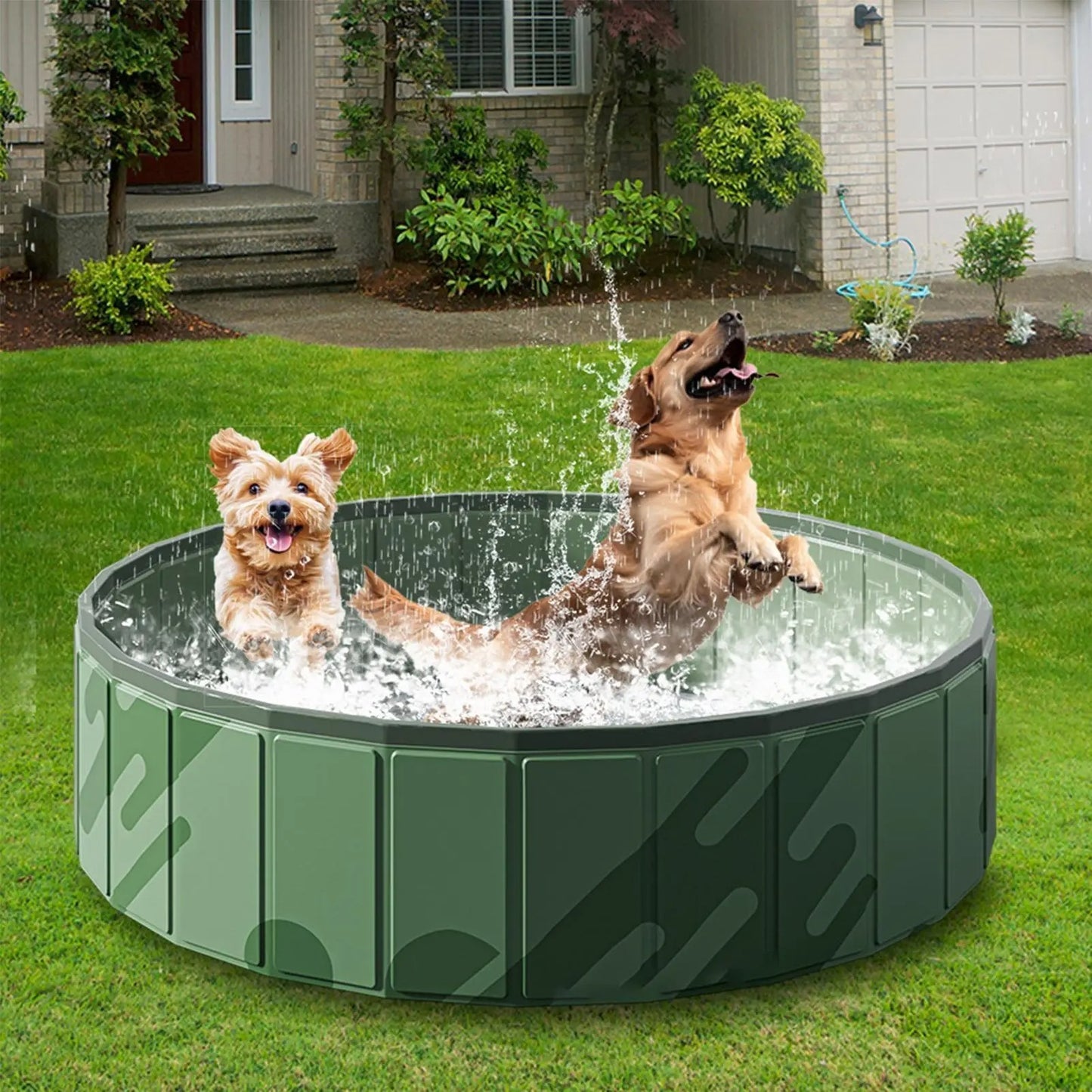 PISCINE A CHIEN | FisherDog