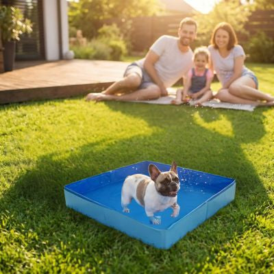 Piscine chien | AquaPaw