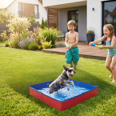 Piscine chien | AquaPaw
