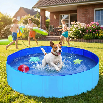 terrier saute dans piscine chien avec enfants en arrière