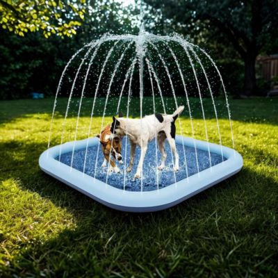 chiens jouent dans piscine pour chien xxl dans cour arrière de maison
