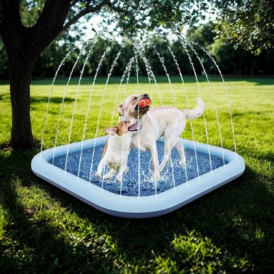 2 chiens jouent dans piscine pour chien xxl sous arbre