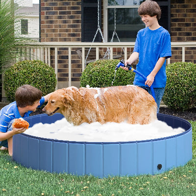 enfants lavent golden retriever dans piscine pour chien dans cour de maison 