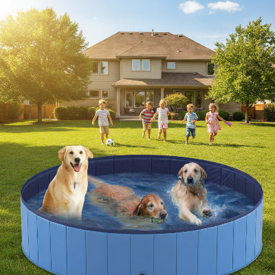 3 chiens dans piscine pour chien et enfants qui jouent sur pelouse