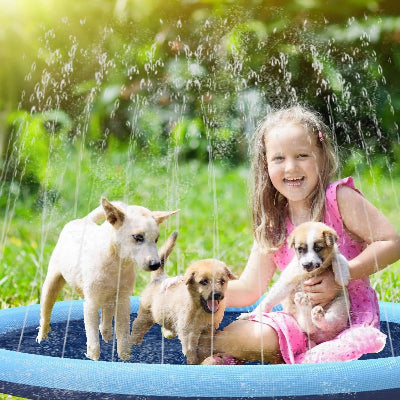 enfant joue avec 3 chiens dans piscine pour chien