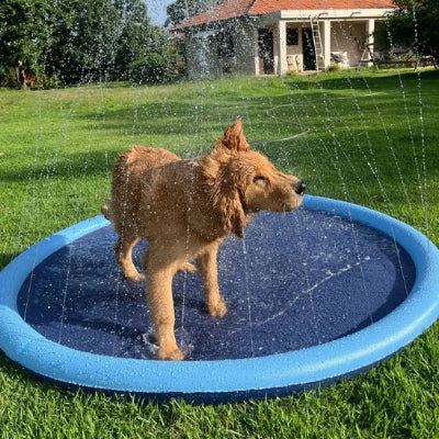 chien brun se secoue dans piscine pour chien