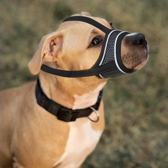 pitbull porte Muselière pour chien noir
