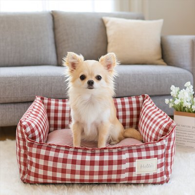 pomeranien assis dans Lit pour Chien