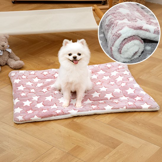 pomeranien assis sur Tapis pour chien