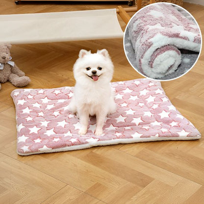 pomeranien assis sur Tapis pour chien