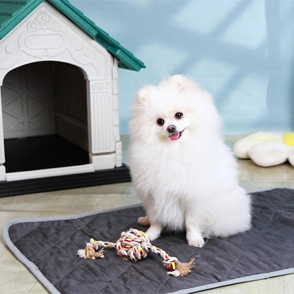 pomeranien blanc assis sur Tapis chauffant chien sur porcelaine