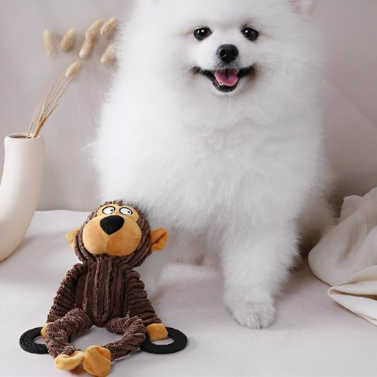 poméranien blanc couché près de Peluche pour chien brun sur surface blanche
