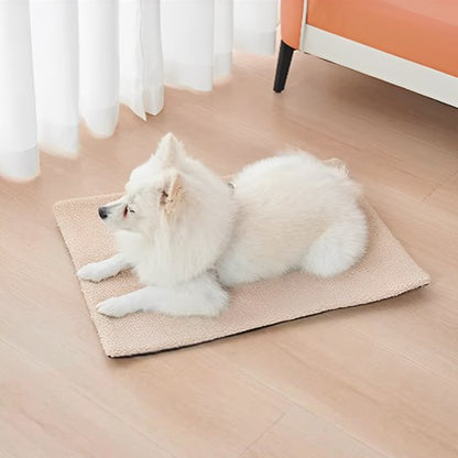 pomeranien blanc couche sur Tapis pour chien dans séjour
