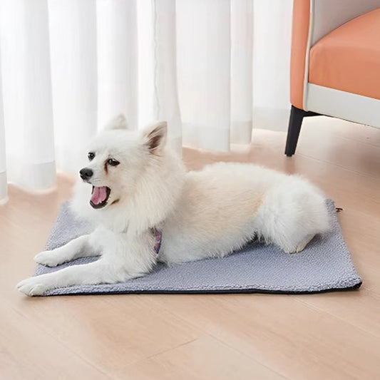 pomeranien blanc couche sur Tapis pour chien dans séjour