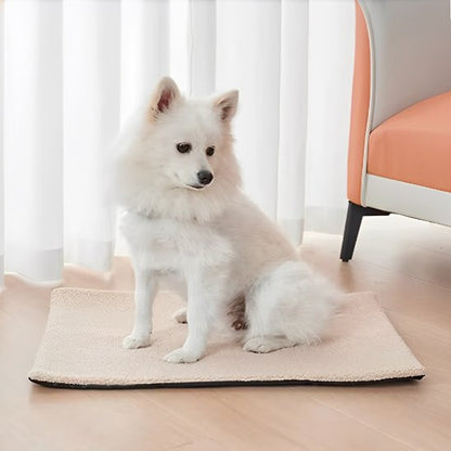pomeranien blanc couche sur Tapis pour chien dans séjour