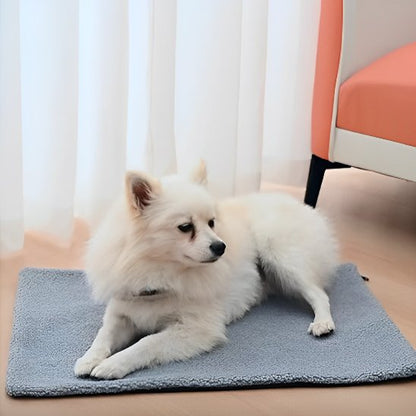 pomeranien blanc couche sur Tapis pour chien dans séjour