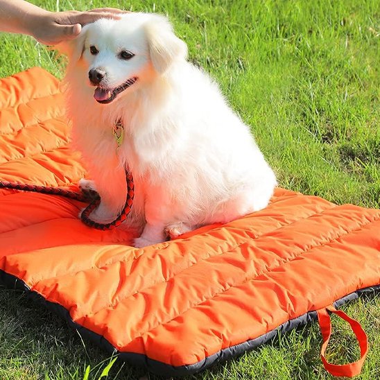 pomeranien blanc couche sur Tapis pour chien sur pelouse