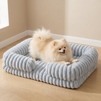 poméranien couché dans Panier à Chien