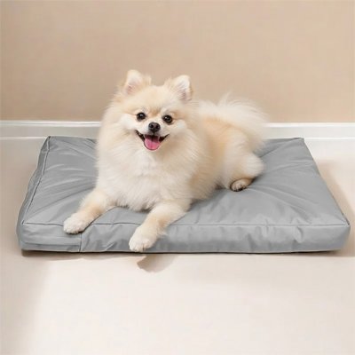 pomeranien couche sur Coussin pour Chien 