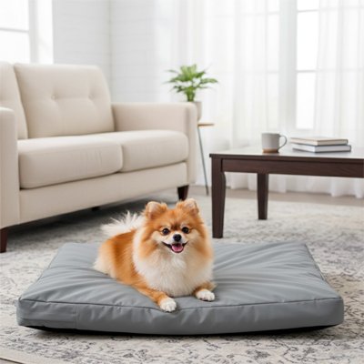 pomeranien couche sur Coussin pour Chien 