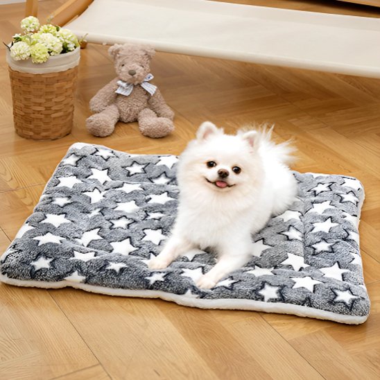 pomeranien couche sur Tapis pour chien