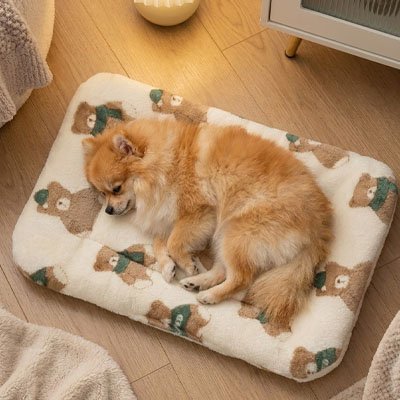 pomeranien couche sur Tapis pour Chien