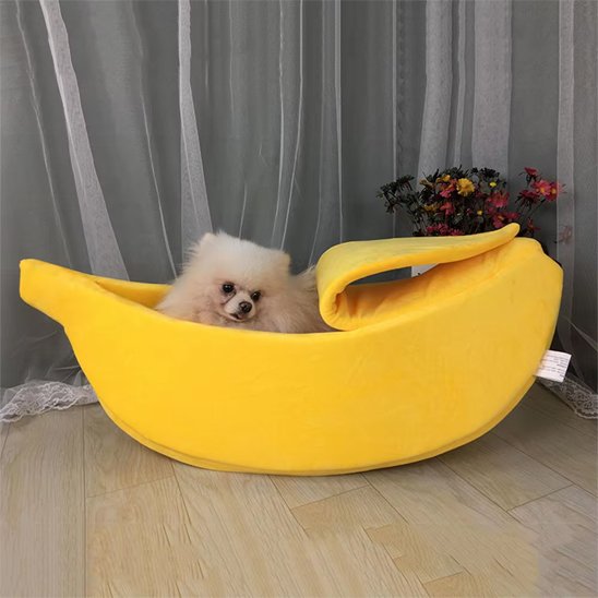 pomeranien dans Panier chien en forme de banane sur sol de bois 