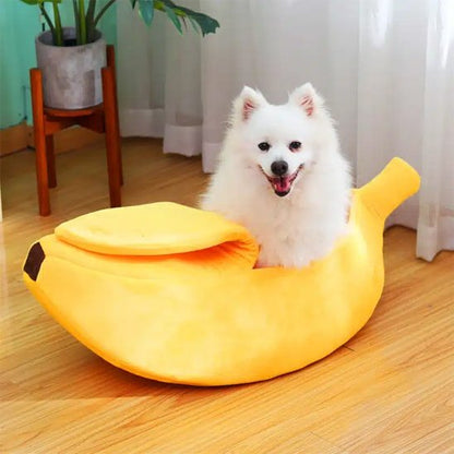 pomeranien dans Panier chien en forme de banane sur sol de bois 