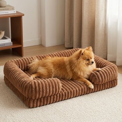 poméranien dans Panier orthopédique Chien café