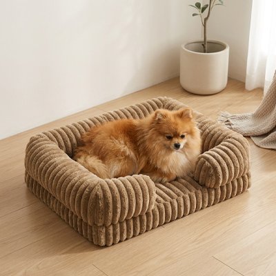 poméranien dans Panier orthopédique Chien 