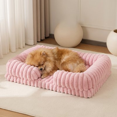 poméranien dort dans Panier à Chien rose