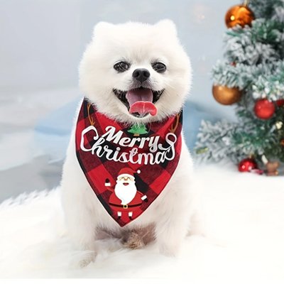 pomeranien portant Bandana Chien est assis près sapin noël