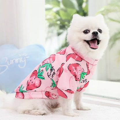 poméranien porte Pull pour chien fraise sur surface blanche