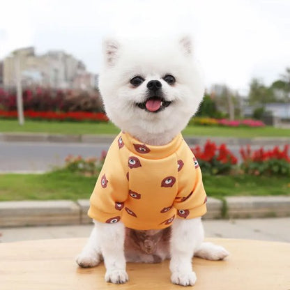 poméranien porte Pull pour chien ours sur table