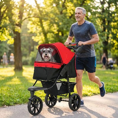homme court dans parc en poussant son vieux schnauser dans poussette à chien
